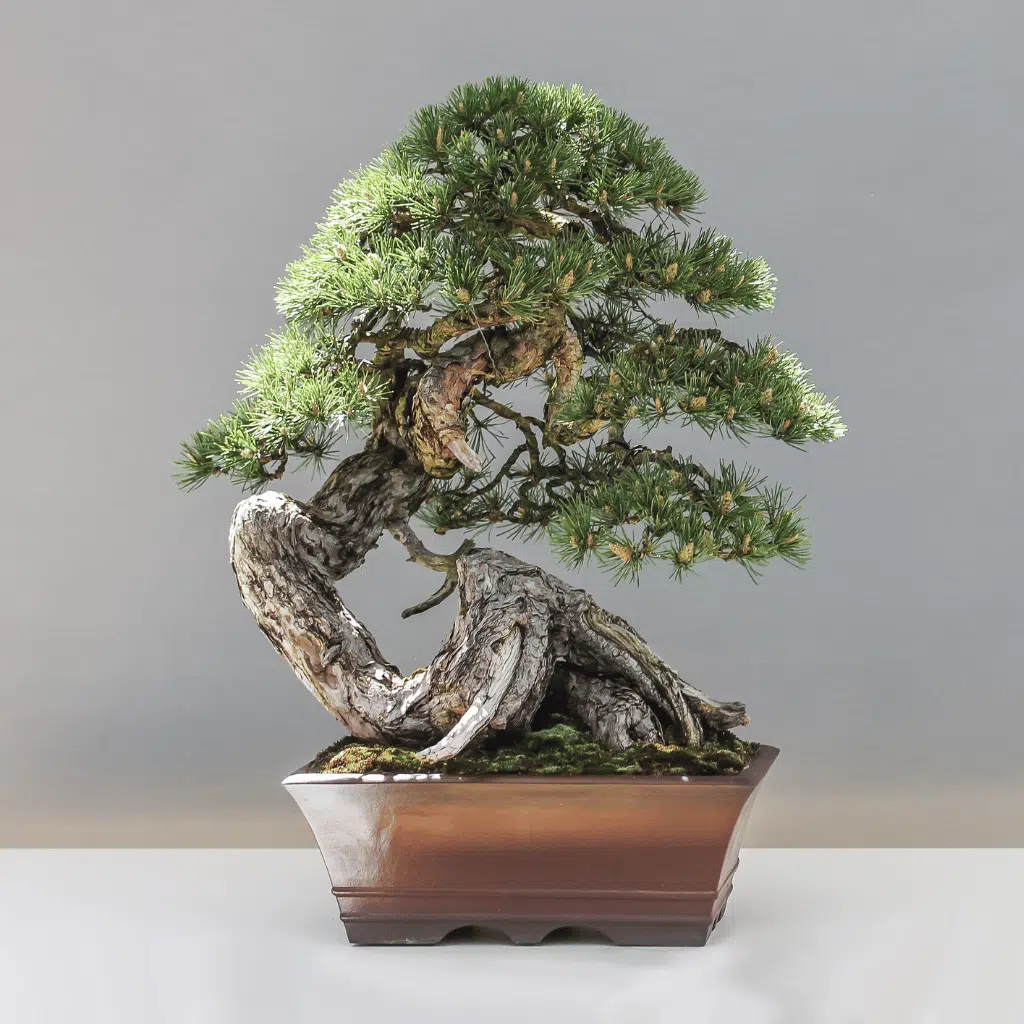 Artificial Bonsai Tree