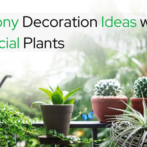 10 Balcony Decoration Ideas with Plants