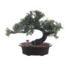Bent Tree With Green Leaves Artificial Bonsai Tree