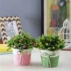 Flower Round Jute Pot-Set of 2 Artificial Bushes