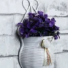 Purple Wall Plant with Pot