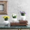 Set of 3 Mini Potted Artificial Plant