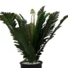 Fern Artificial Potted Money Plant