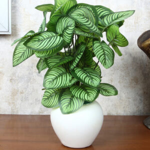 Calathea White Potted Artificial Plant