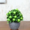 Artificial Green Apple Plant