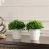 Artificial potted Thick Green Leaves plants