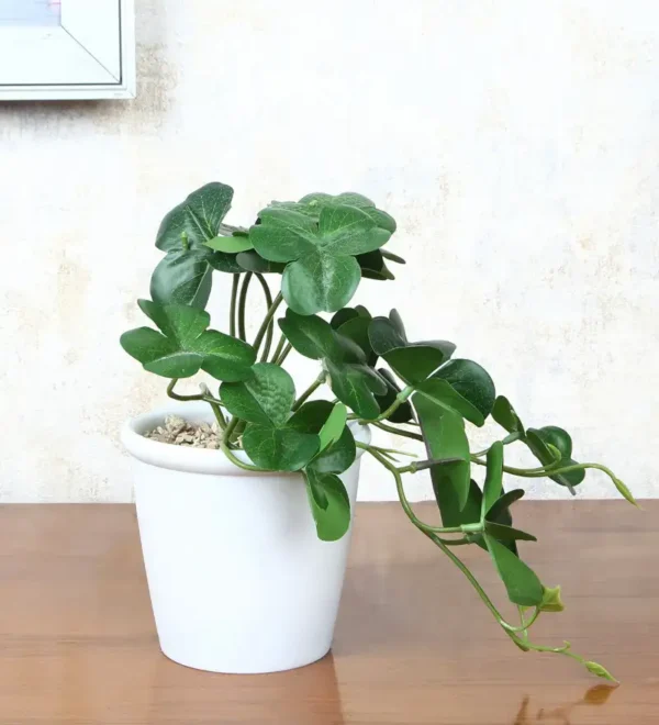 Clover Artificial Plant With Pot