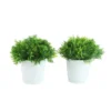 Artificial potted Thick Green Leaves plants