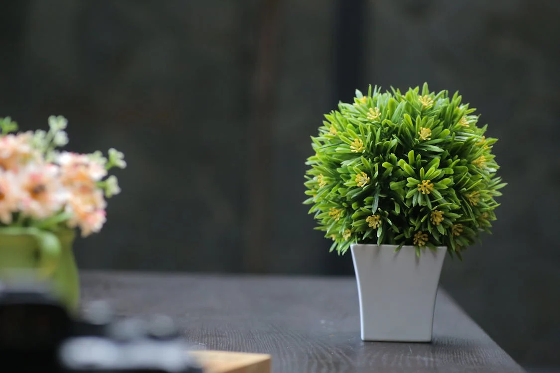 The Perfect Artificial Plants for Stylish Home and Office Decor