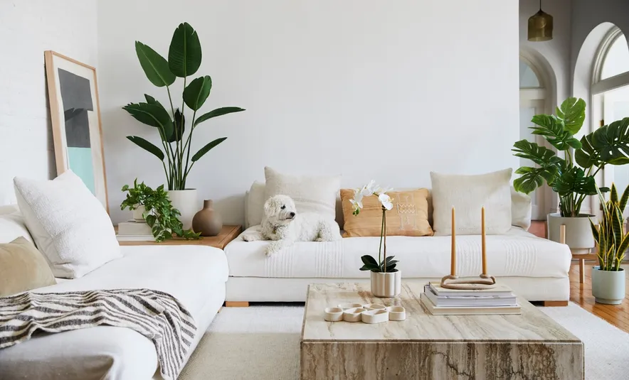 Low-Maintenance Elegance: Decorating with Artificial Plants