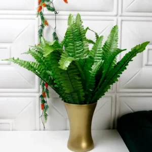 Tall Fern Plant Bunches without Vase