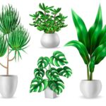 Sale: Up to 20% Off on the Best Artificial Plants & Trees – Shop Now