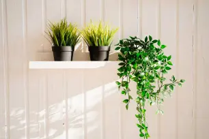 Effortless Elegance: Elevate Your Space with Foliyaj's Premium Artificial Plants and Trees