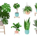 Lifelike Faux Plants & Trees for Your Home Decor: Shop at Foliyaj