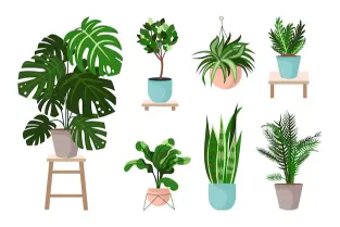 Lifelike Faux Plants & Trees for Your Home Decor: Shop at Foliyaj