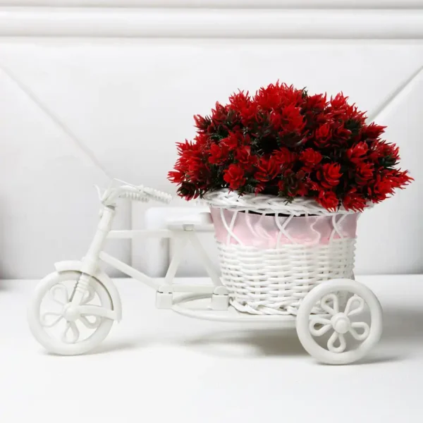 Red Leaves Rickshaw Plant