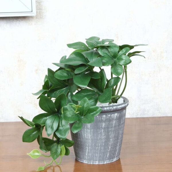 Schefflera Artificial Plant With Pot