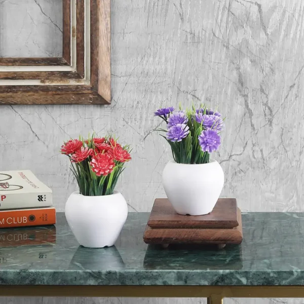 Mini Plants with Gerbera Flowers