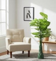 Floor & Corner Plants