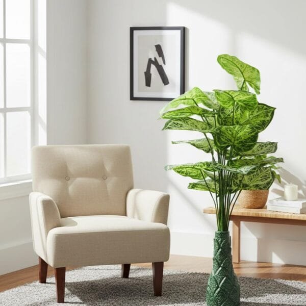 Floor & Corner Plants