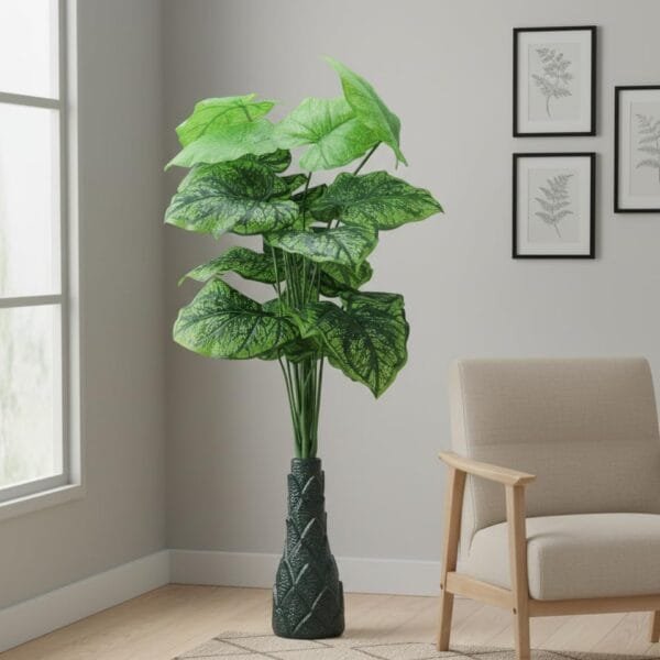 Floor & Corner Plants
