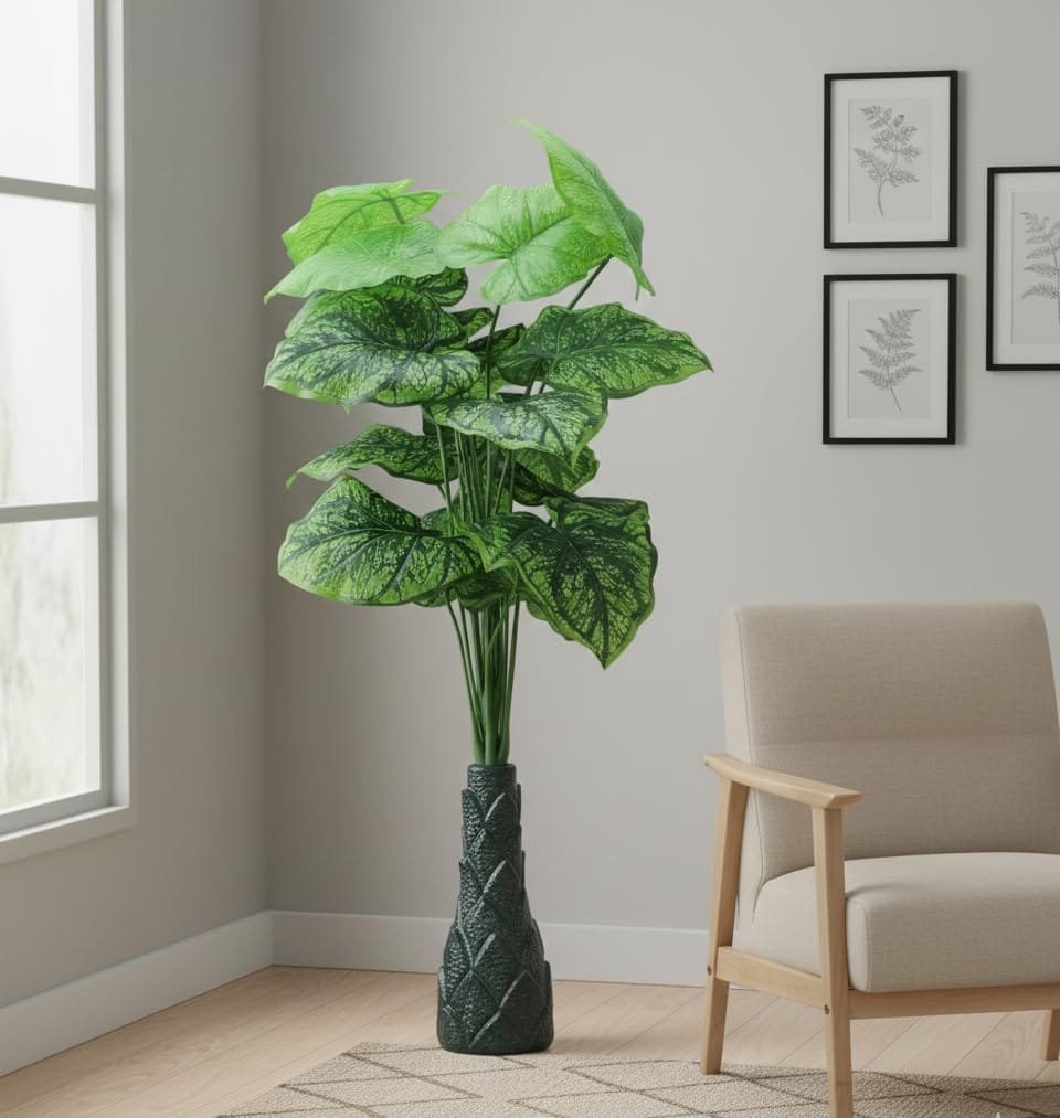Floor & Corner Plants