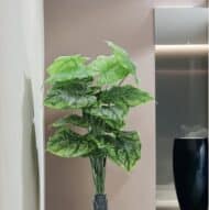 18 Leaf Dark Green Alocasia Plant with Floor Standing Green Base
