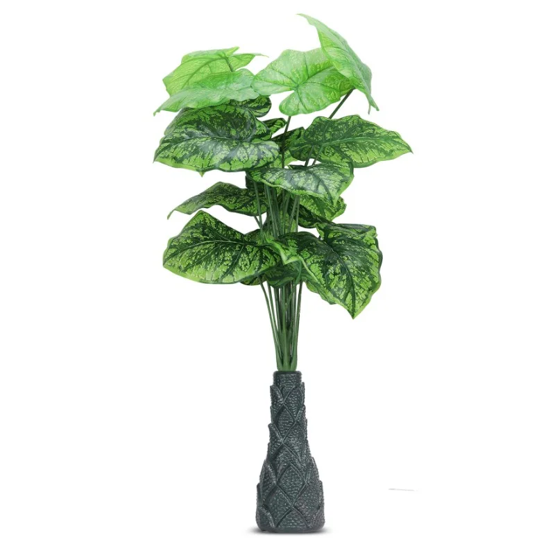 18 Leaf Dark Green Alocasia Plant with Floor Standing Green Base
