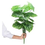 18 Leaf Dark Green Alocasia Plant with Floor Standing Green Base