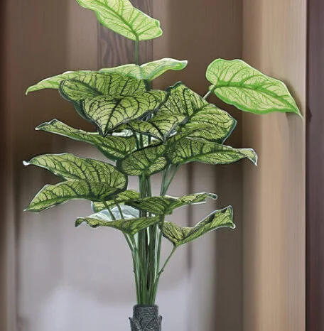 18 Leaf Caladium Plant with Floor Standing Green Base