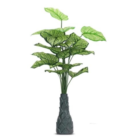 18 Leaf Caladium Plant with Floor Standing Green Base