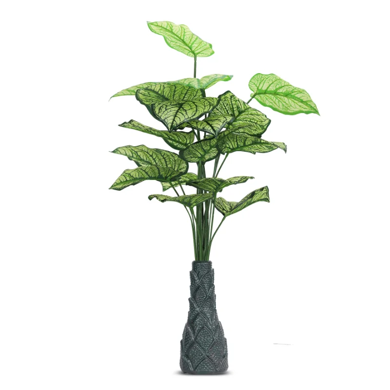 18 Leaf Caladium Plant with Floor Standing Green Base