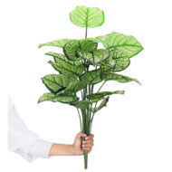 18 Leaf Caladium Plant with Floor Standing Green Base
