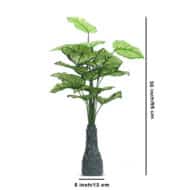 18 Leaf Caladium Plant with Floor Standing Green Base