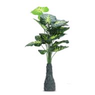 Foliyaj 18 Leaf Money Plant 2 with Floor Standing Green Base