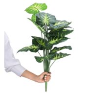 Foliyaj 18 Leaf Money Plant 2 with Floor Standing Green Base