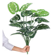 18 Leaf Money Plant 4 with Floor Standing Green Base