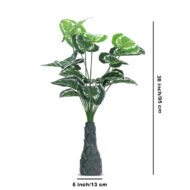 18 Leaf Money Plant 4 with Floor Standing Green Base