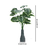 18 Leaf Money Plant 3 with Floor Standing Green Base