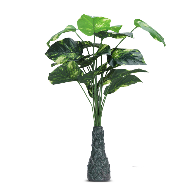 Foliyaj 18 Leaf Money Plant with Floor Standing Green Base