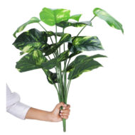 Foliyaj 18 Leaf Money Plant with Floor Standing Green Base