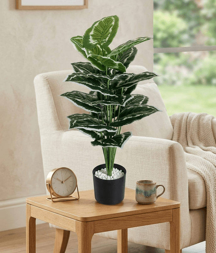 2 ft tall plants