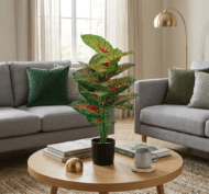 2 ft tall plants