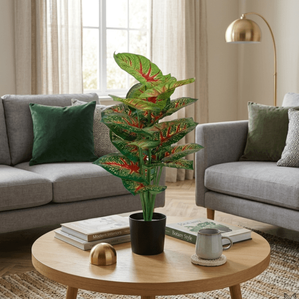 2 ft tall plants