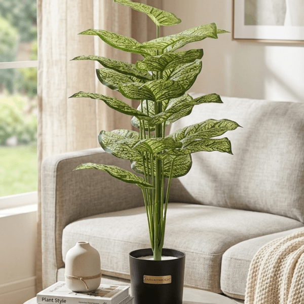 2 ft tall plants