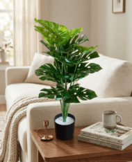2 ft tall plants