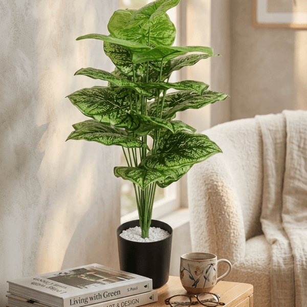 2 ft tall plants